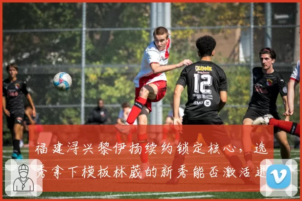 福建浔兴黎伊扬续约锁定核心，选秀拿下模板林葳的新秀能否激活进攻？