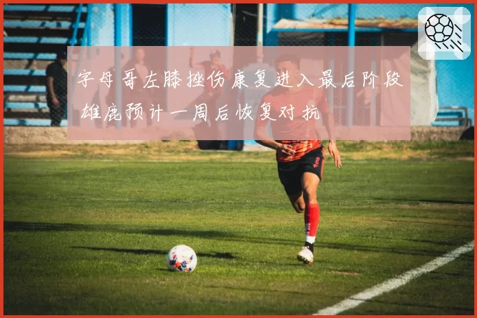 字母哥左膝挫伤康复进入最后阶段 雄鹿预计一周后恢复对抗