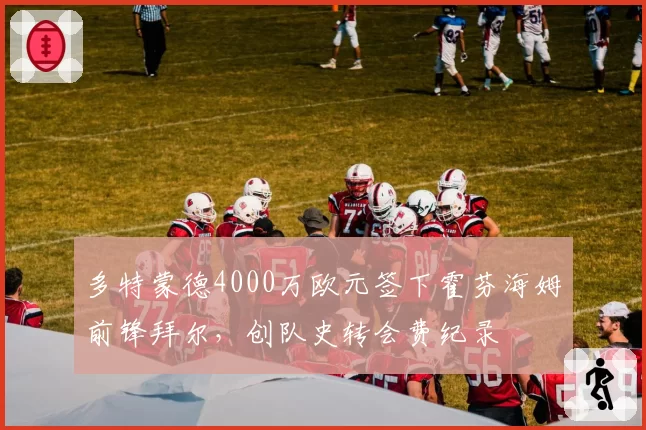 多特蒙德4000万欧元签下霍芬海姆前锋拜尔，创队史转会费纪录