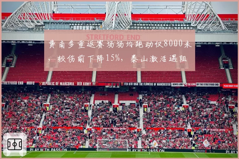 费南多重返赛场场均跑动仅8000米，较伤前下降15%，泰山激活遇阻