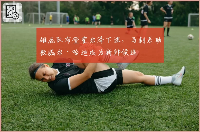 雄鹿队布登霍尔泽下课，马刺系助教威尔·哈迪成为新帅候选